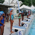 P1009140-shark.jpg