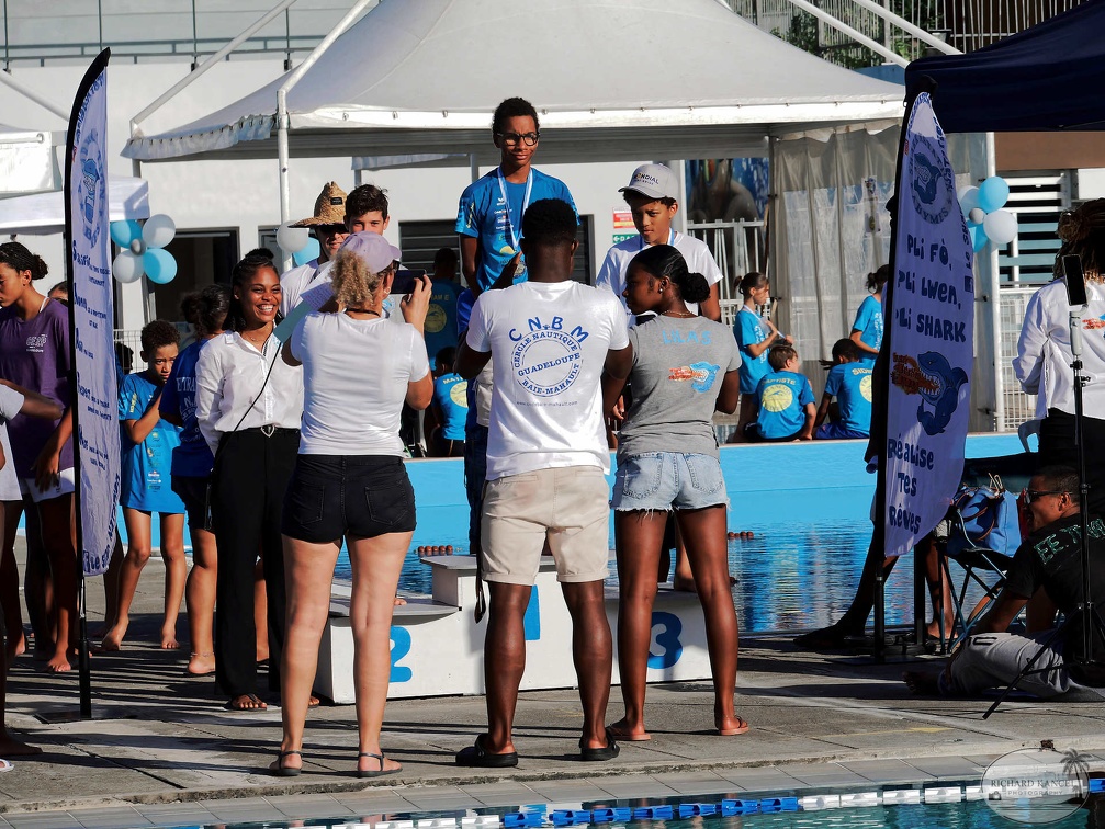 P1009226-shark.jpg