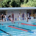 P1009272-shark.jpg