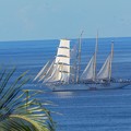 P1010437.jpg