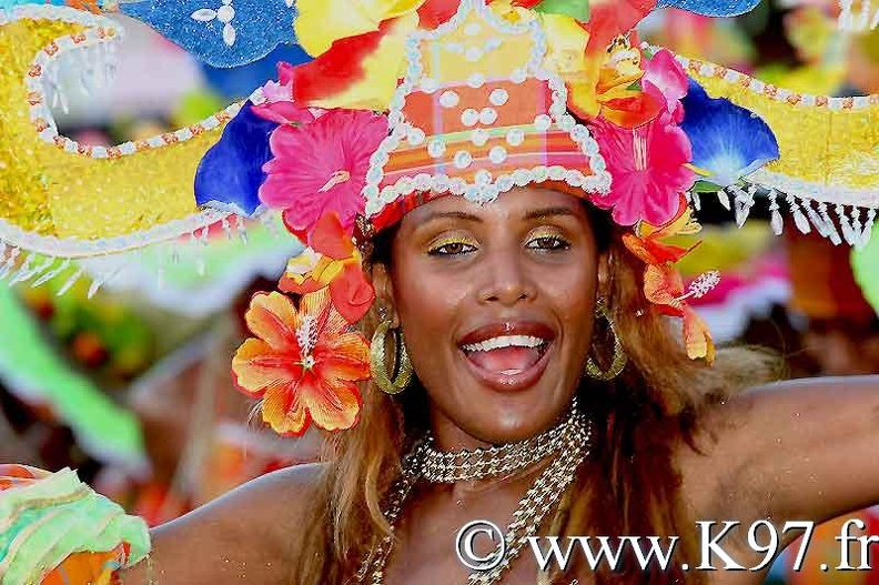 carnaval2008-papb26.jpg