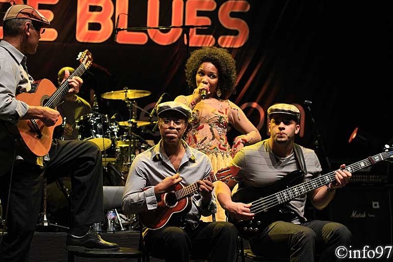 terre-de-blues2012-artiste5.jpg