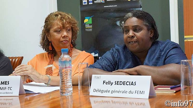 conference-presse-femi2012-6.jpg