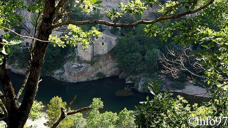 paysage-gorge-du-tarn20.jpg