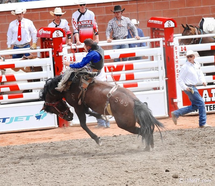 rodeo-stampede-alberta-031.jpg