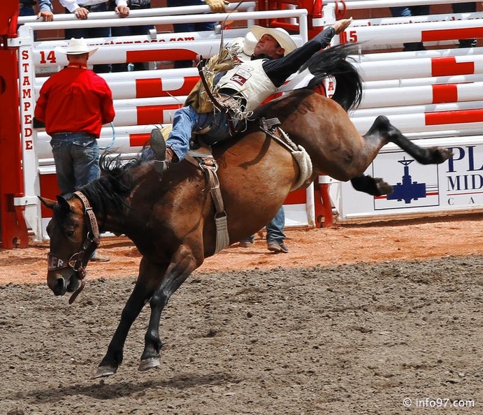 rodeo-stampede-alberta-061.jpg
