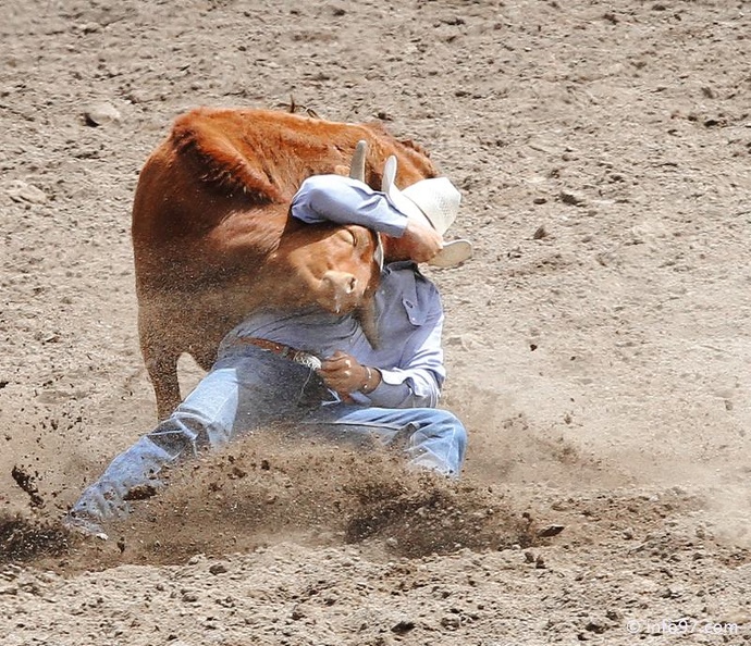 rodeo-stampede-alberta-071.jpg
