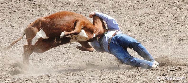 rodeo-stampede-alberta-073.jpg