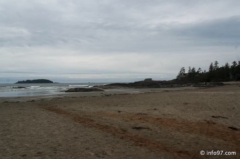 tofino-BC-ours-41.jpg