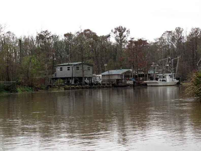 bayou14.jpg