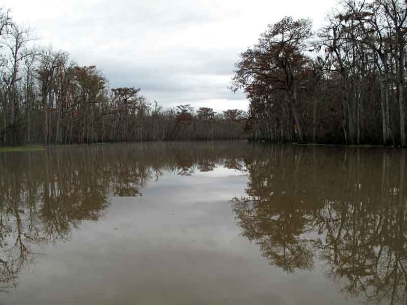 bayou35.jpg