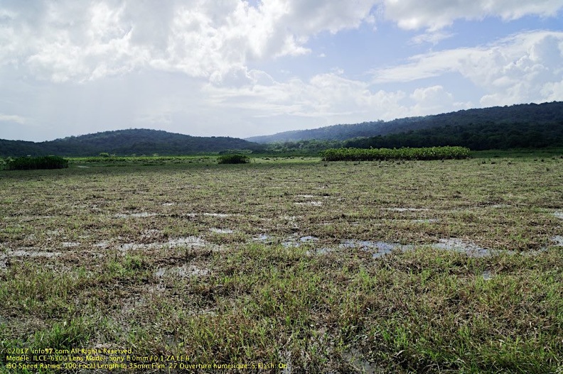 guyane044-marais-kaw.jpg