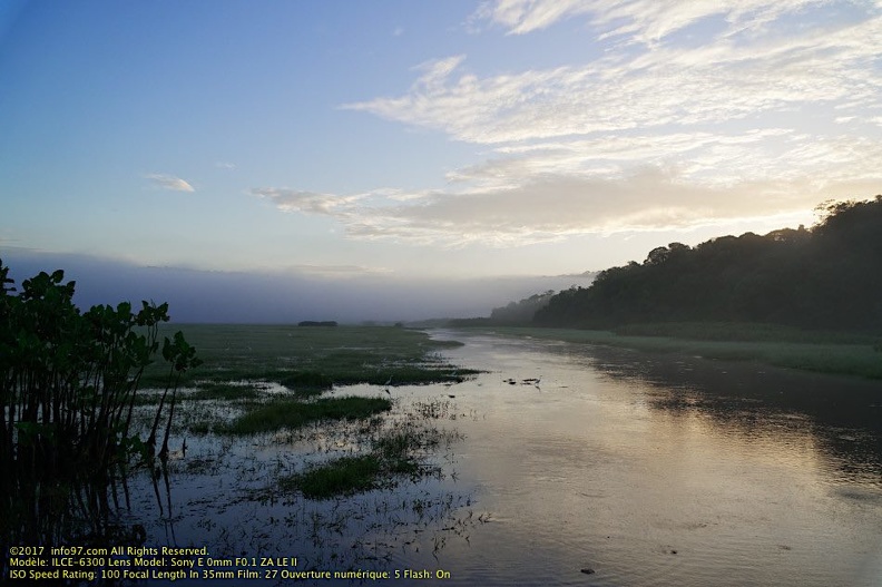 guyane099-marais-kaw.jpg