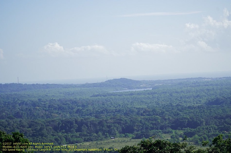 guyane04-montagne-des-singes.jpg