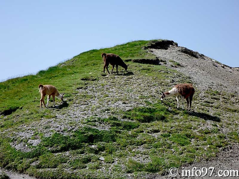 tourmalet7.jpg