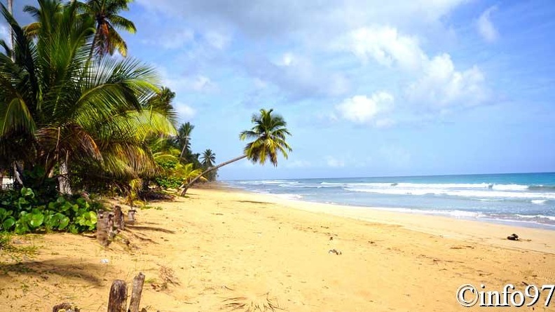 plage-saint-domingue10.jpg