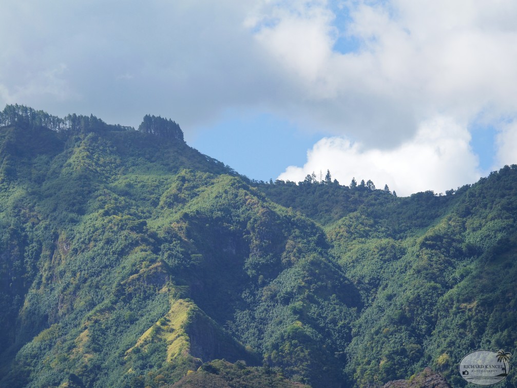 P1010427-Marquises-Nuku-Hiva.jpg