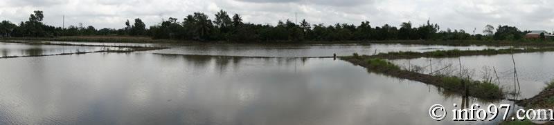 DSC04322faune-can-tho